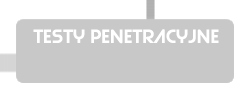 Testy penetracyjne Kraków, pentest, pentests